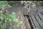 Wooden steps up the ravine